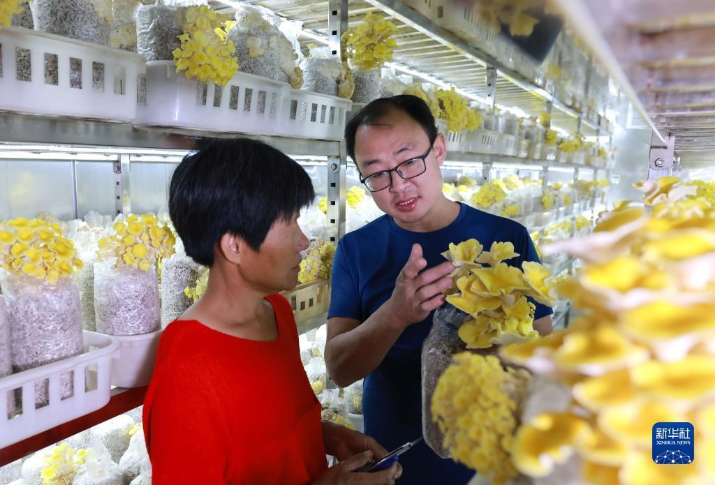 现金银河注册